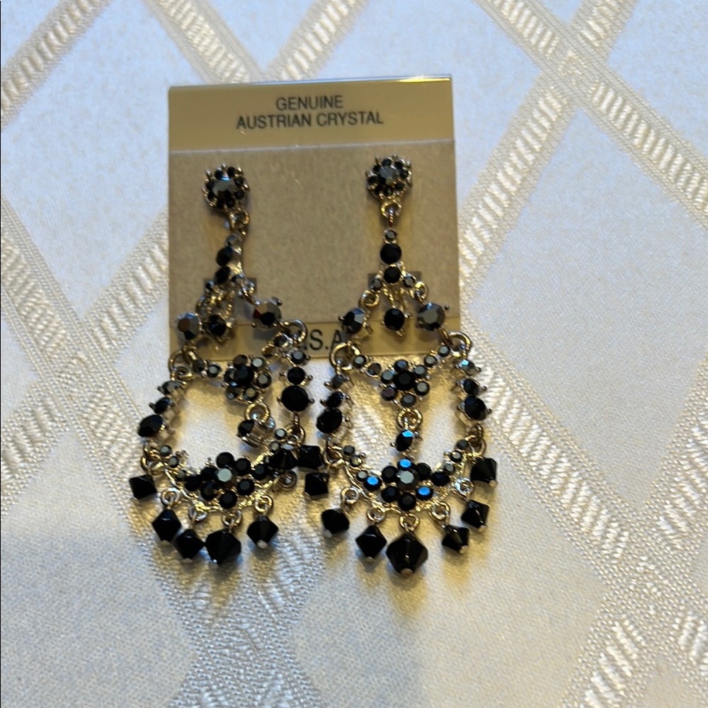 Elegant Black and Silver Crystal Earrings